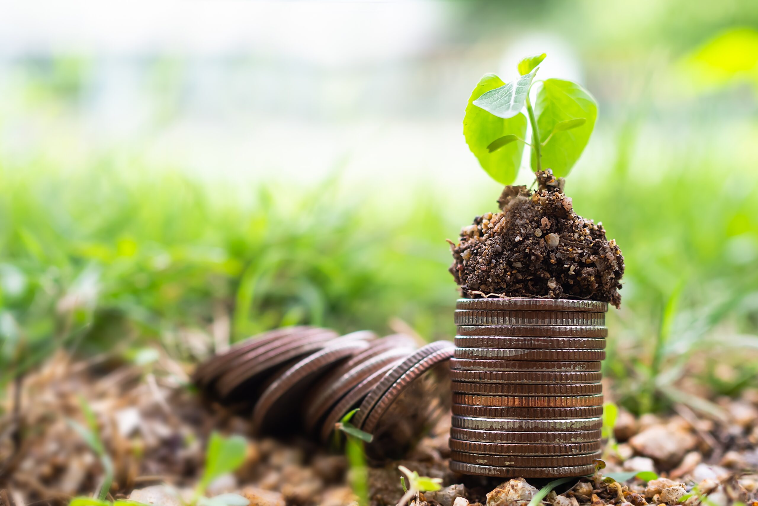 Long-Term Sustainability